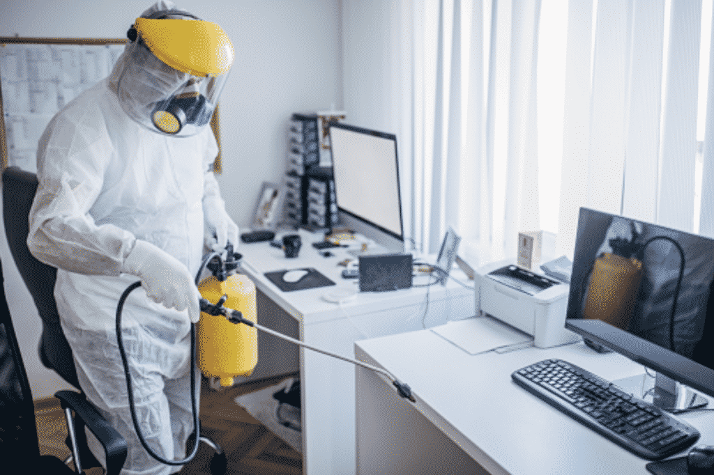 Why you need to seek the help of a professional Pest Controller.