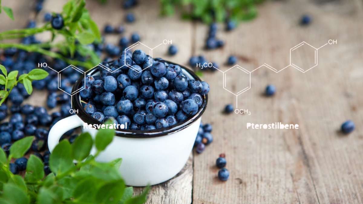 Resveratrol vs. Pterostilbene How to Choose Between Them?