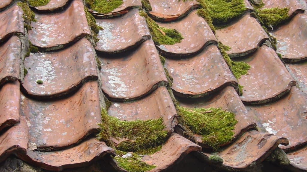 Top 7 Reasons You Should Have Your Roof Cleaned Regularly