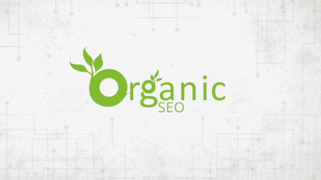 The Basics of Organic SEO What You Need to Know