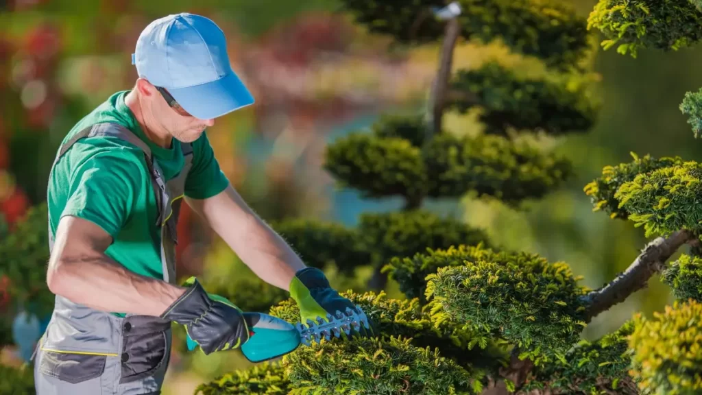 Which Factors Should You Consider When Hiring Commercial Landscaping Services?