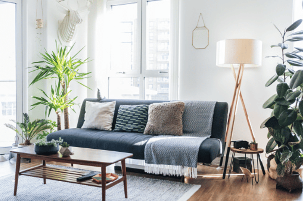 Are you looking to pick a sofa for the living room? Here are the 5 things to consider