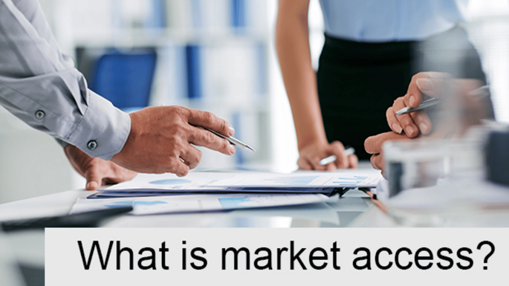 What is Market Access