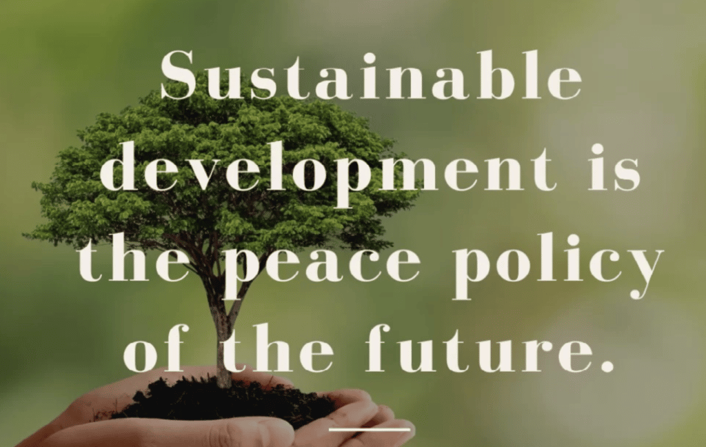 Sustainability The peace policy for the future