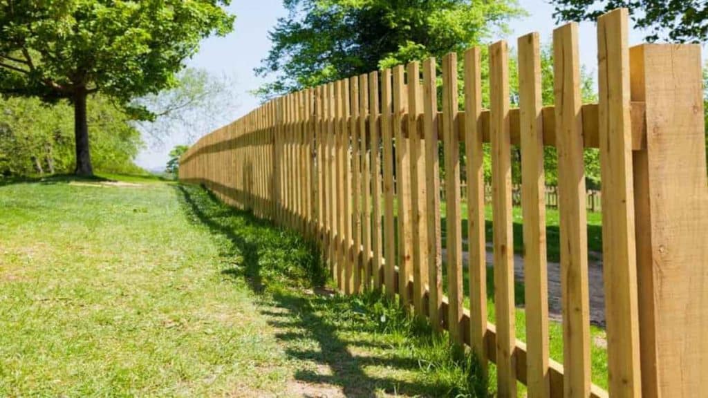 A Guide to Maintaining Your Fence