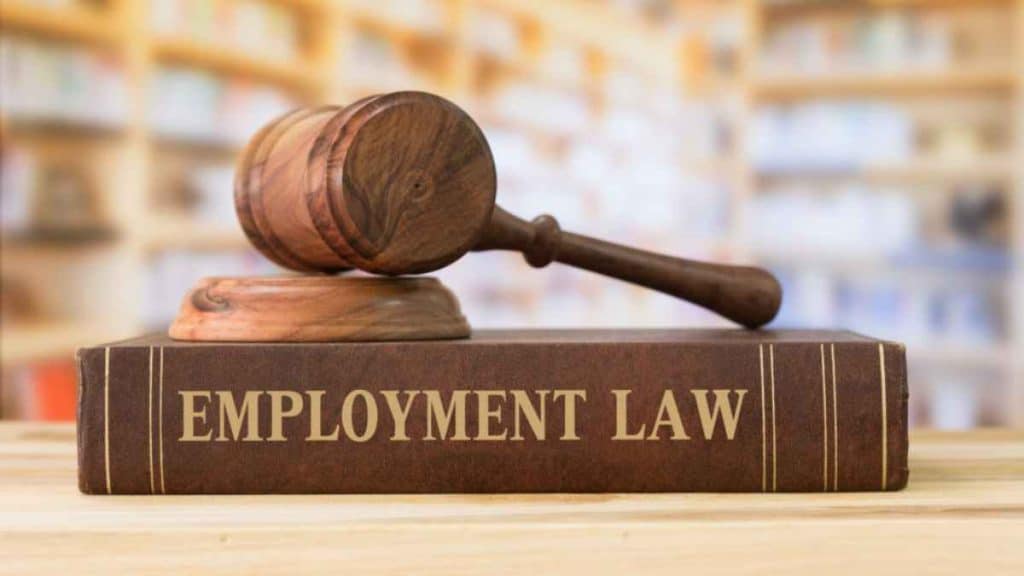 Employment litigation - What is the purpose?