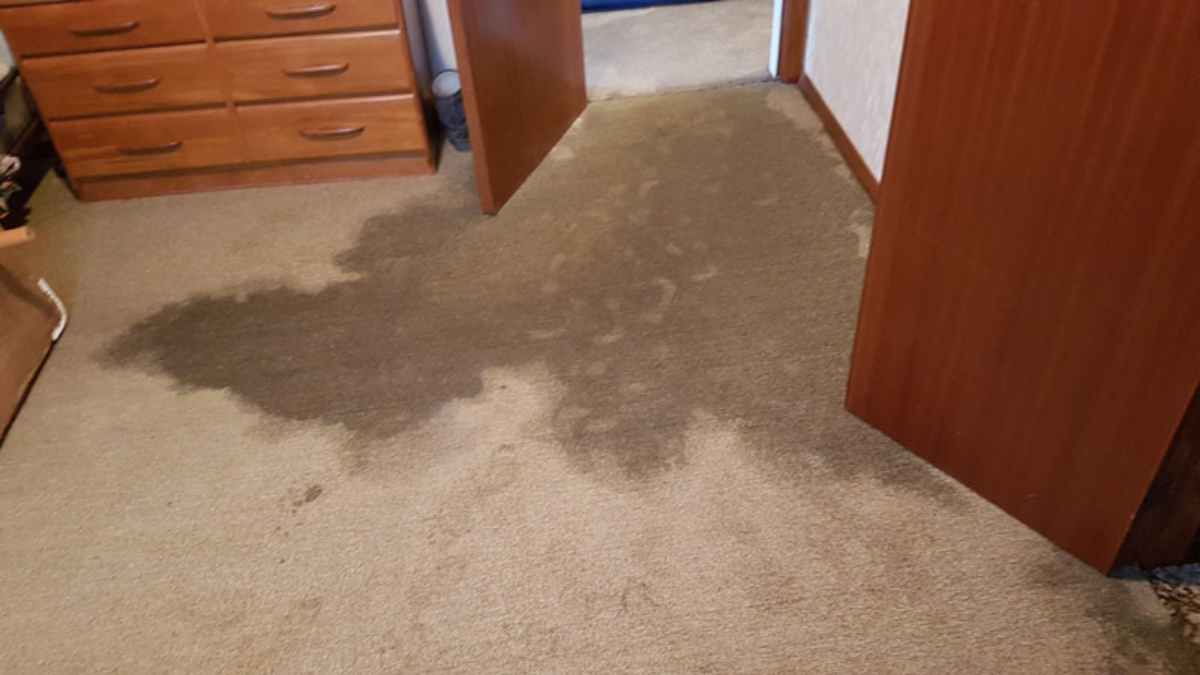 handling-water-damaged-carpets