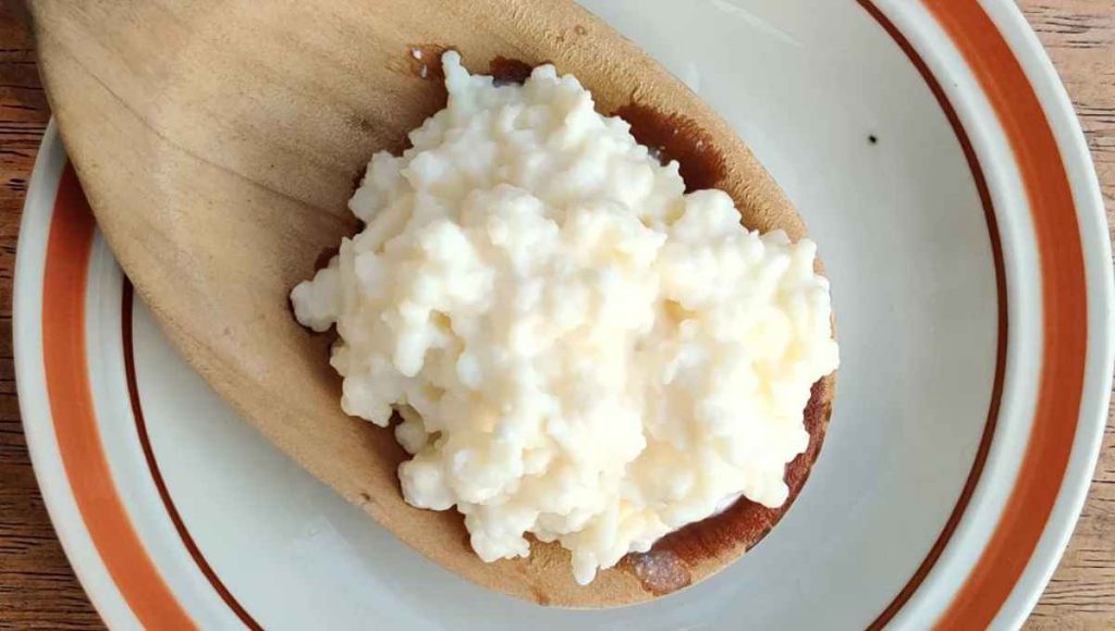 The Guide To Knowing The Health Benefits Of Kefir