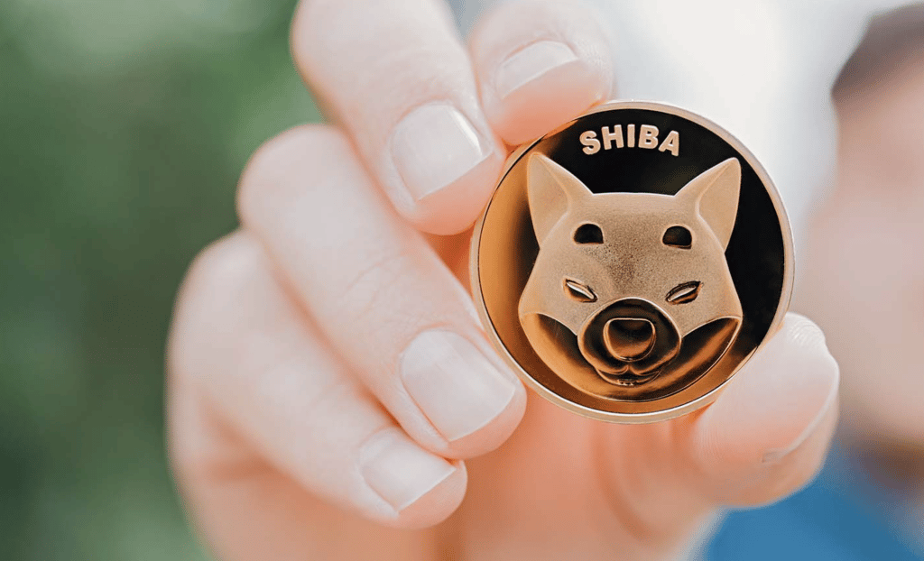 What Does the Future Hold for Shiba Inu (SHIB)?