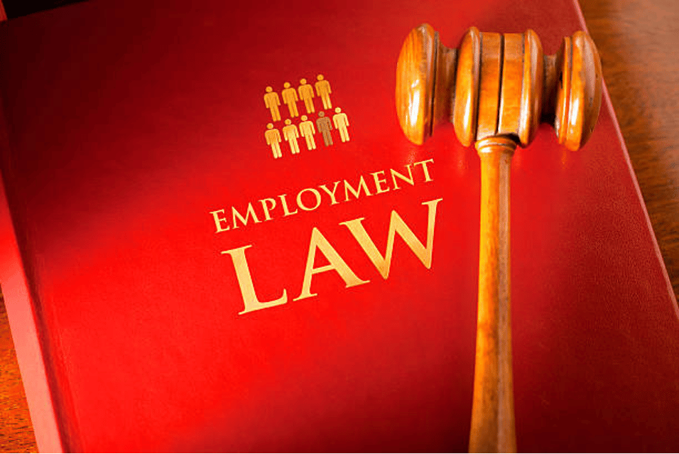 a-guide-to-canadian-labour-and-employment-laws