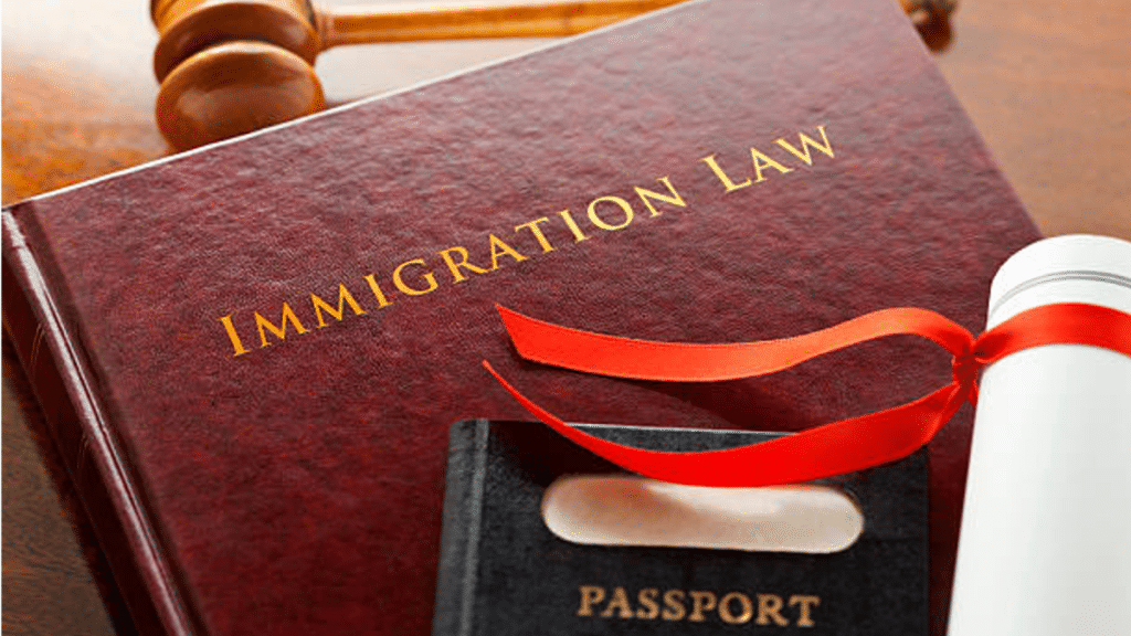 Why You Should Hire an Immigration Lawyer