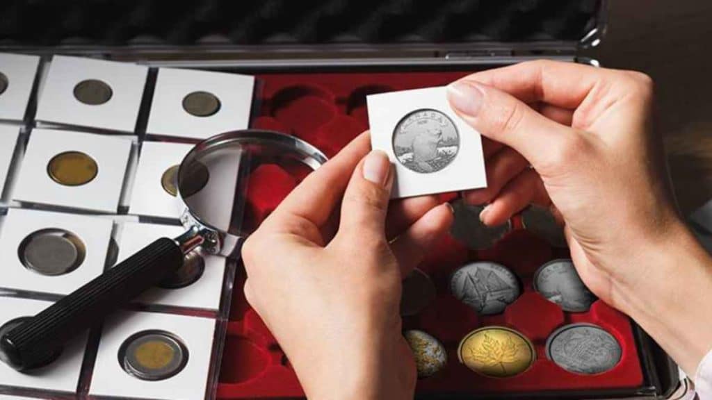 The Value of Coin Collecting How a Hobby Can Also Be an Investment