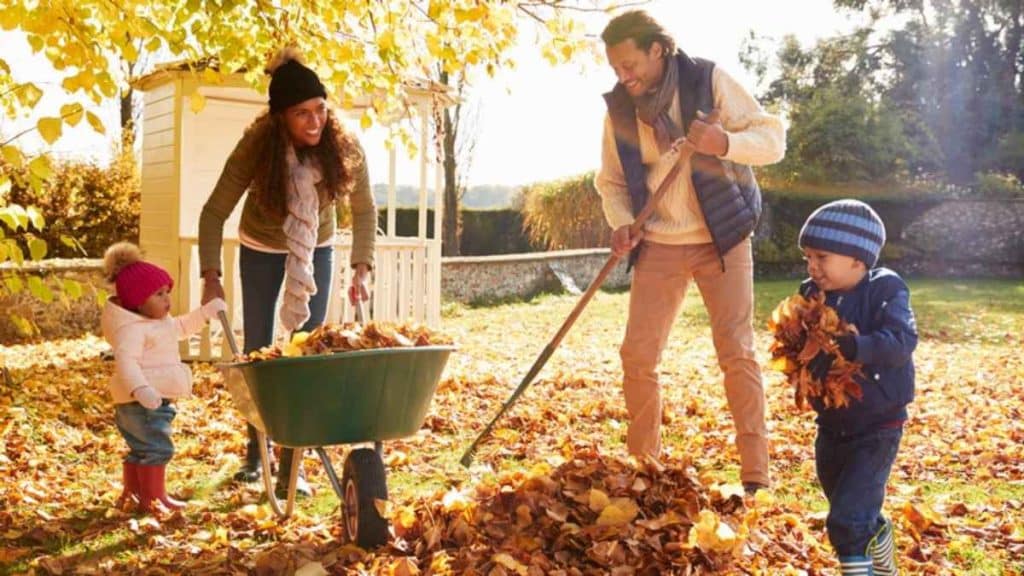 Jobs for your Garden in the Winter