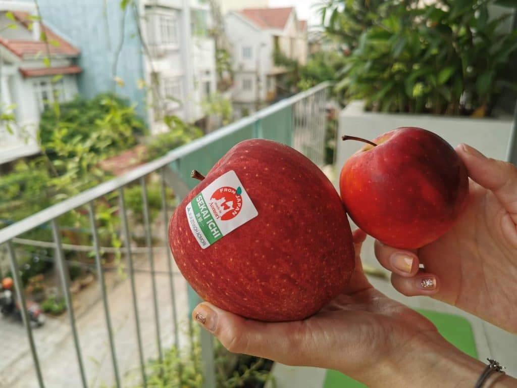 The Sekai Ichi Apples From Japan Expensive Fruit Market