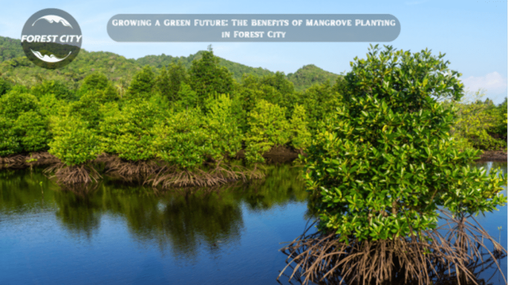 Growing a Green Future The Benefits of Mangrove Planting in Forest City