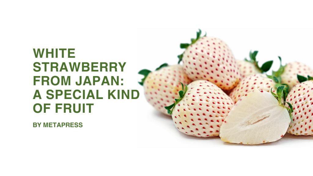 White Strawberry from Japan: A Special Kind of Fruit