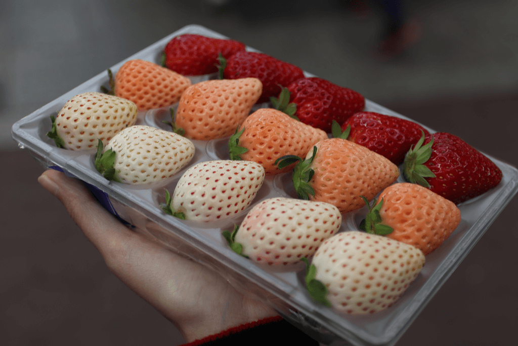 White Jewel Strawberries From Japan Expensive Fruit Market