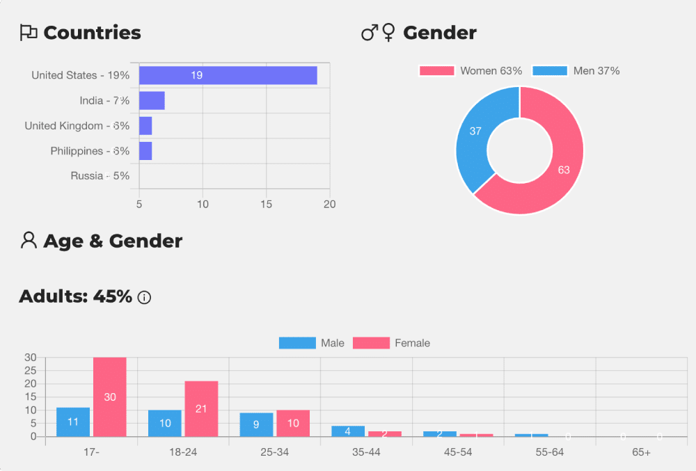 Audience Analysis Profile on Tiktok