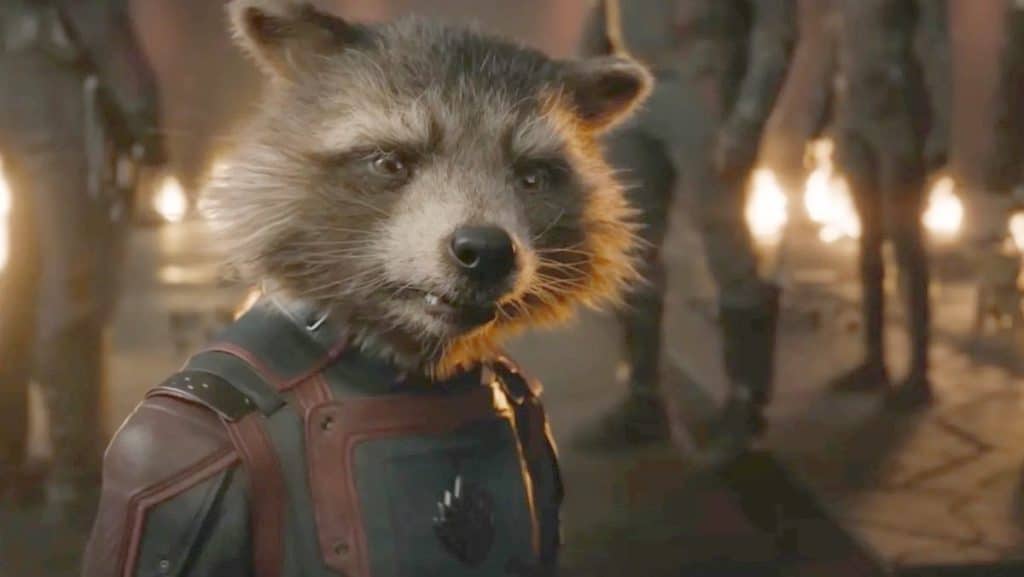 Rocket in Guardians Of The Galaxy Vol 3