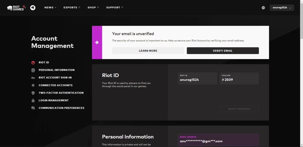 Check Username Availability on Valorant