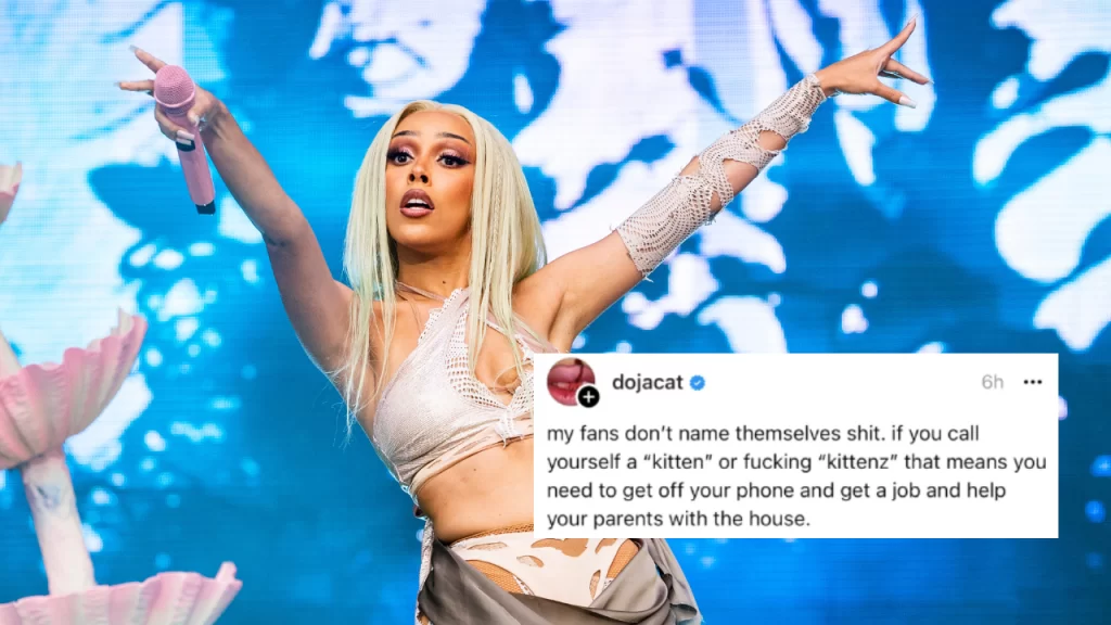 Doja Cat Backlash