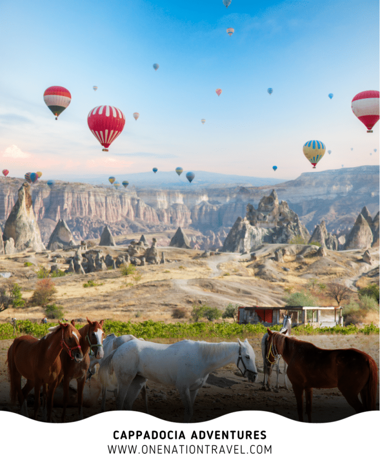 Turkey Unveiled: A Comprehensive Guide to an Enchanting Land