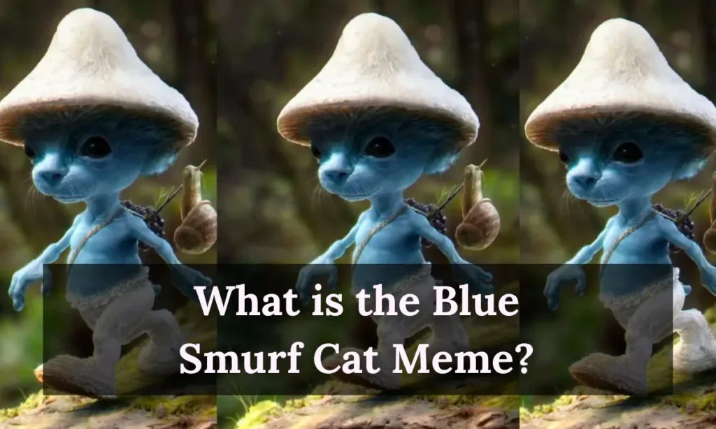 Blue Smurf Cat Mushroom