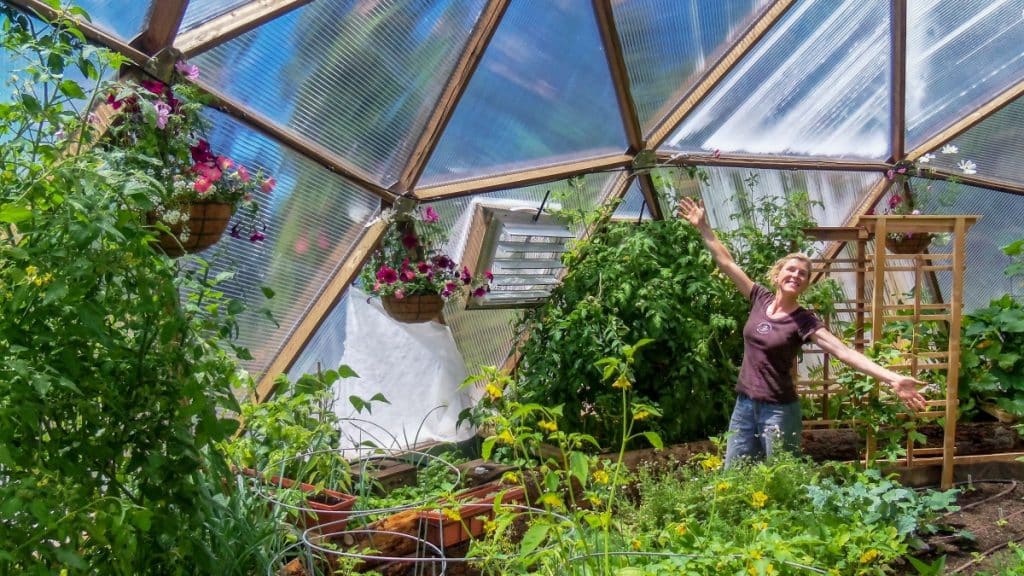 Eco-Friendly Greenhouse Kits DIY Sustainable Options for Greener Gardening