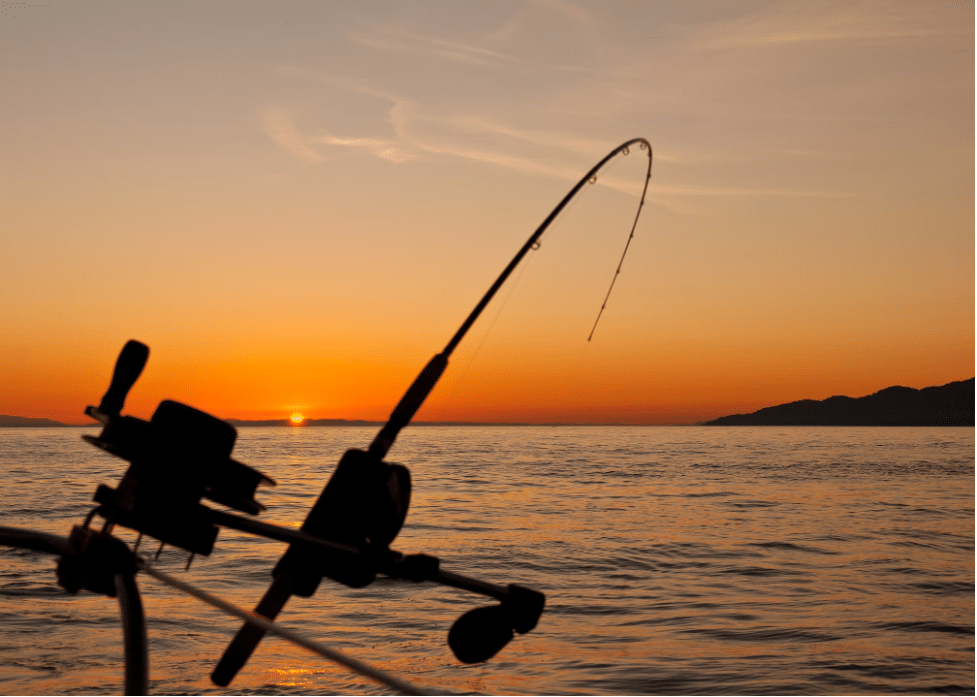 Innovations in Spinning Reel Technology: Latest Trends and Features