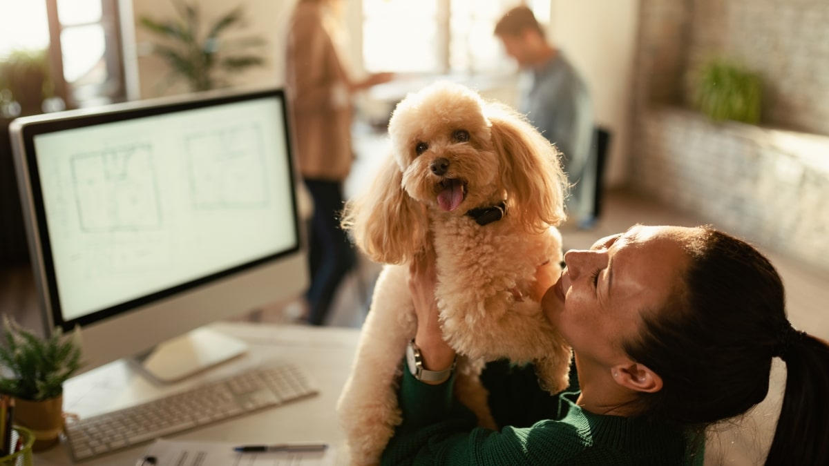 Puppy Insurance Ensuring a Healthy and Safe Start for Your Furry Companion