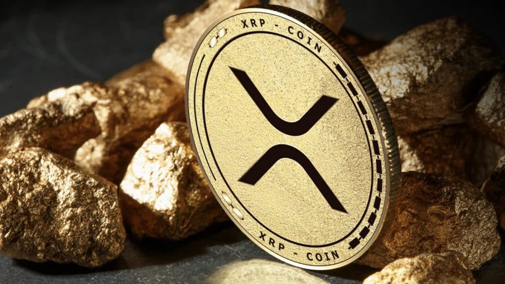 SHIB, XRP, and BNB Hot Summertime Developments and Failures