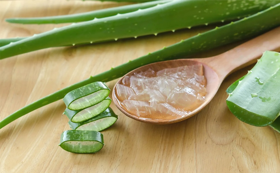 How To Cure Gum Disease Without A Dentist: Aloe Vera