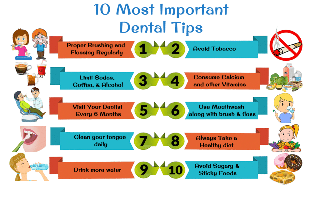 10 Most Important Dental Tips Infographic