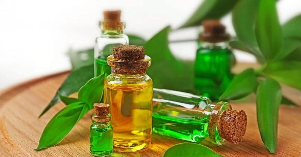 Photography of Tea Tree Oil