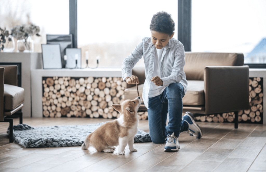 Living with Pets in Rental Apartments: Rules, Tips, and Etiquette