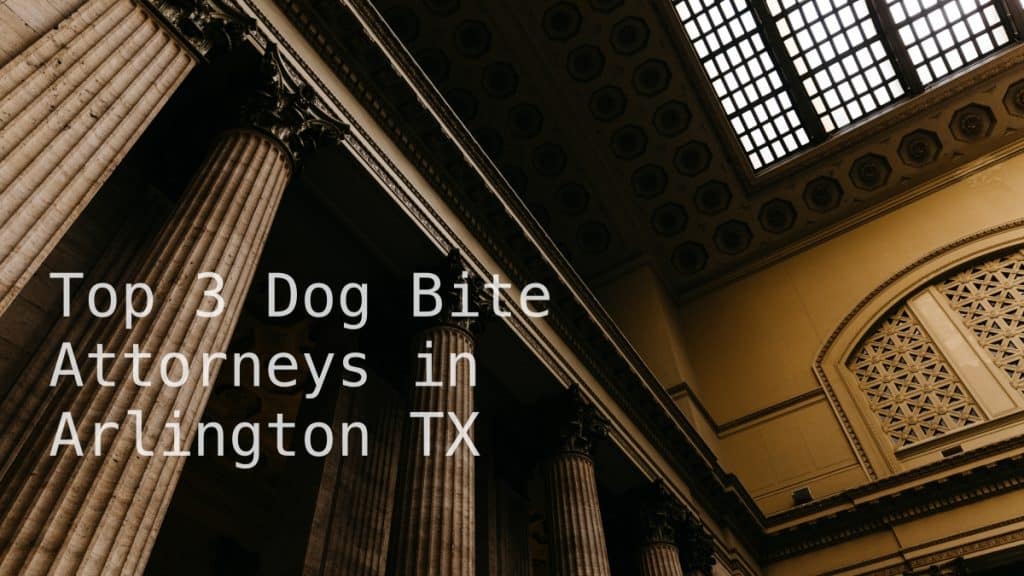 Top 3 Dog Bite Attorneys in Arlington TX