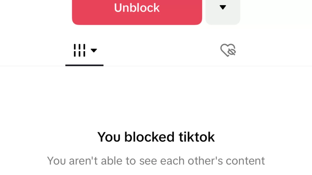 Blocked User on TikTok