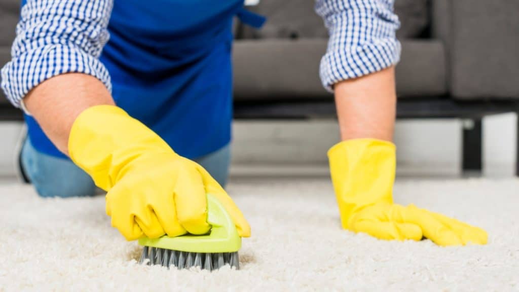 How To Remove Stains From A Carpet