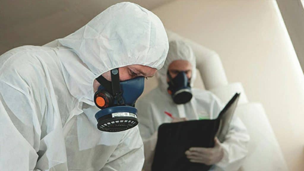 Navigating Safety A Comprehensive Guide to Asbestos Surveys