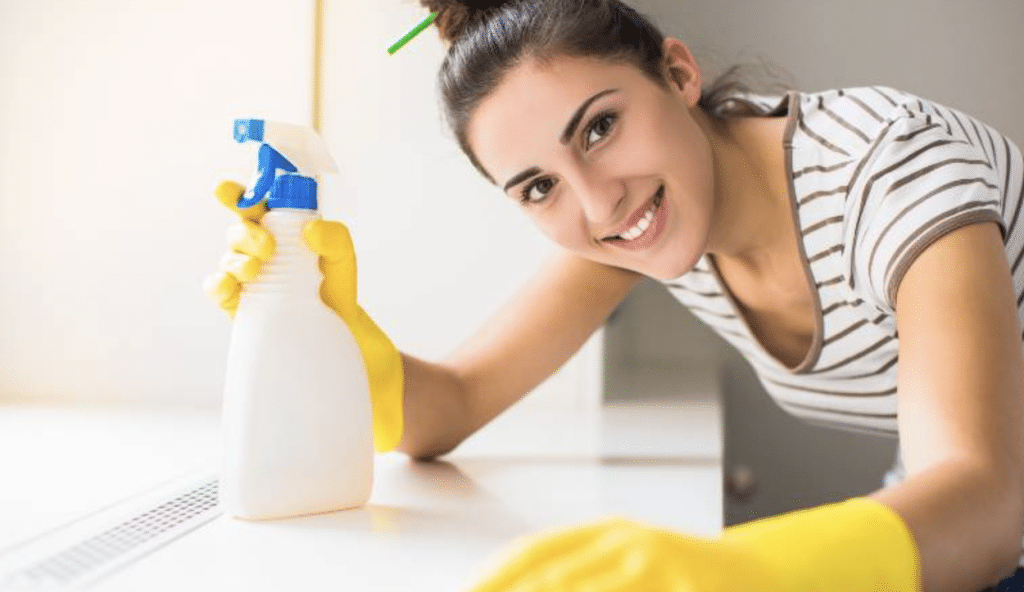 Reducing Household Bacteria and Viruses through Regular Cleaning