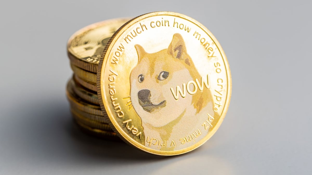 Woof of Wealth Dog Coin Boom