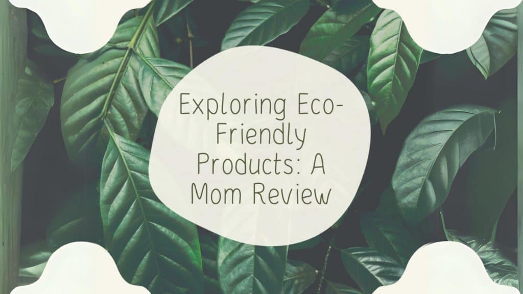 Exploring Eco-Friendly Products A Mom Review