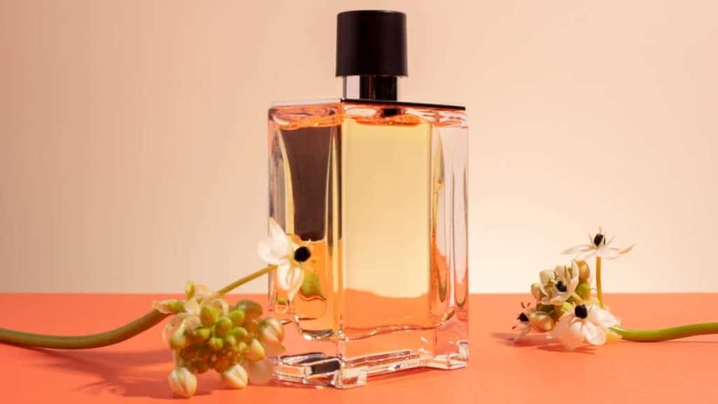 The Evolution of Perfume Marketing From Traditional to Digital Strategies