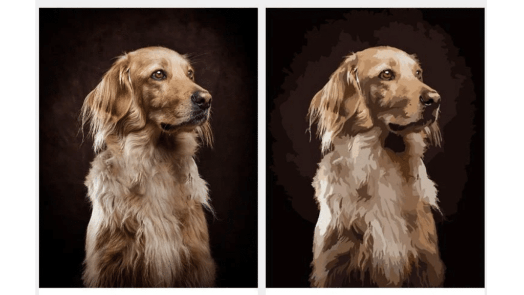 Transform Your Photos into Masterpieces with Custom Paint by Numbers