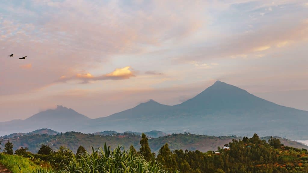 8 Things to Know Before Visiting Volcanoes National Park, Rwanda
