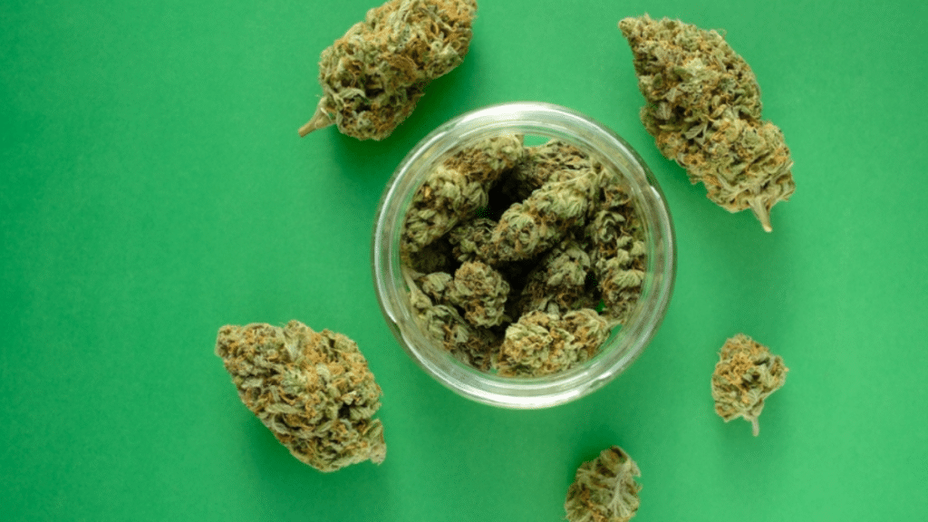 Choosing Weed Wisely Your Expert Companion to Dispensary Strain Selection