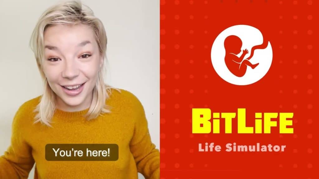 Bitlife Team