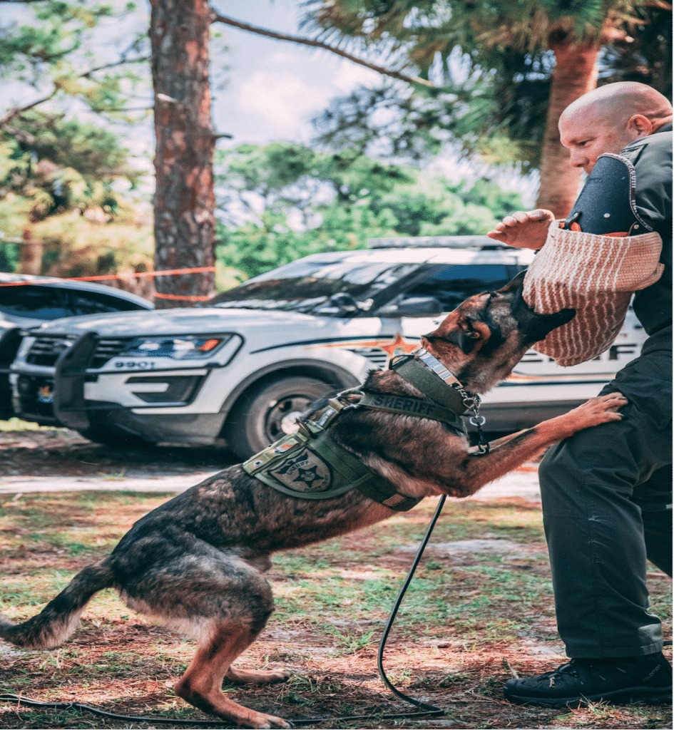 K9 Tactical Gear: Enhancing the Safety and Efficiency of Working Dogs by Gunner Gear