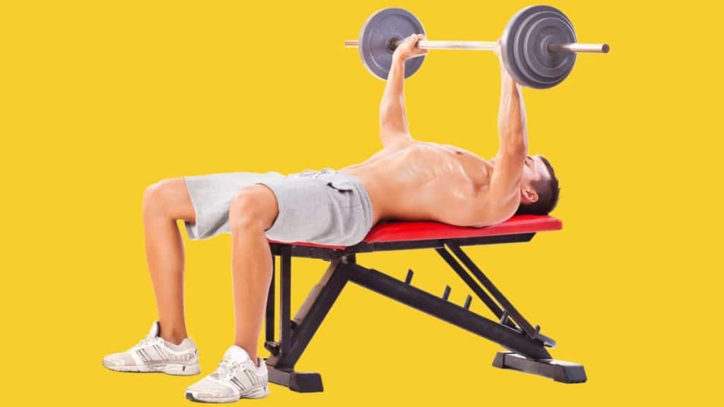 Mastering Your Lifts Choosing the Best Gym Weight Bench for Strength Training