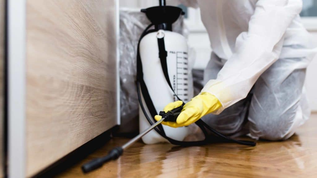 Orlando's Pest Control Experts Your Trusted Partners for a Pest-Free Residence